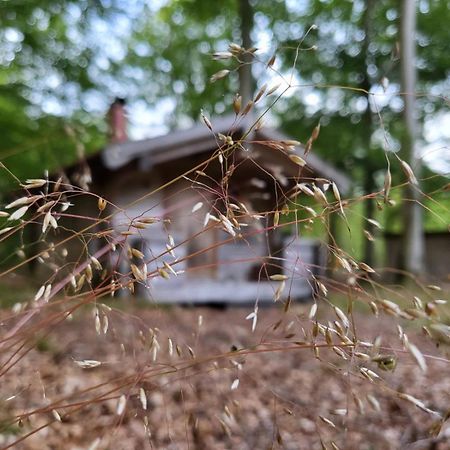 Bjaernhultsgardens Stugor Linderod Bagian luar foto