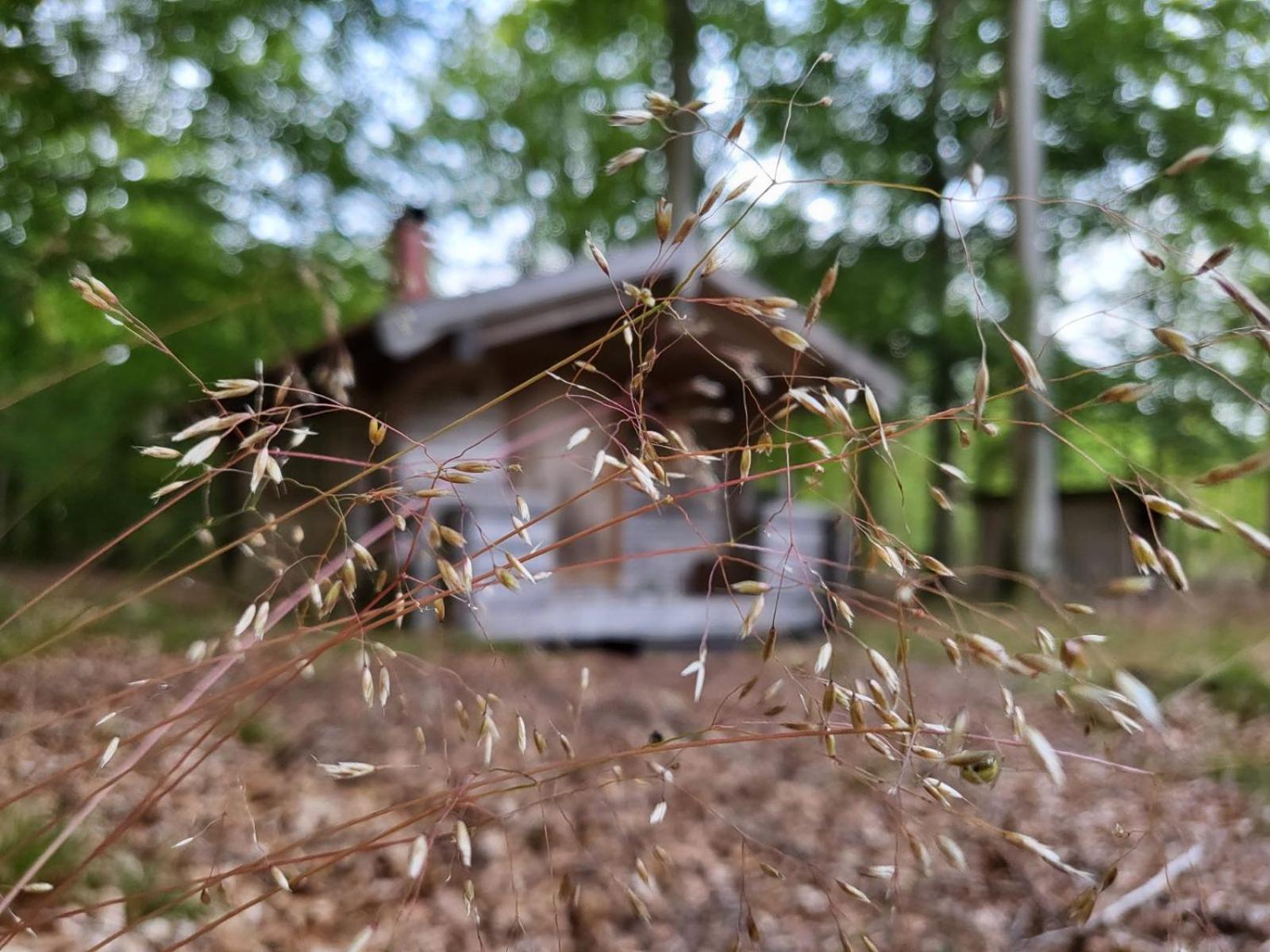 Bjaernhultsgardens Stugor Linderod Bagian luar foto