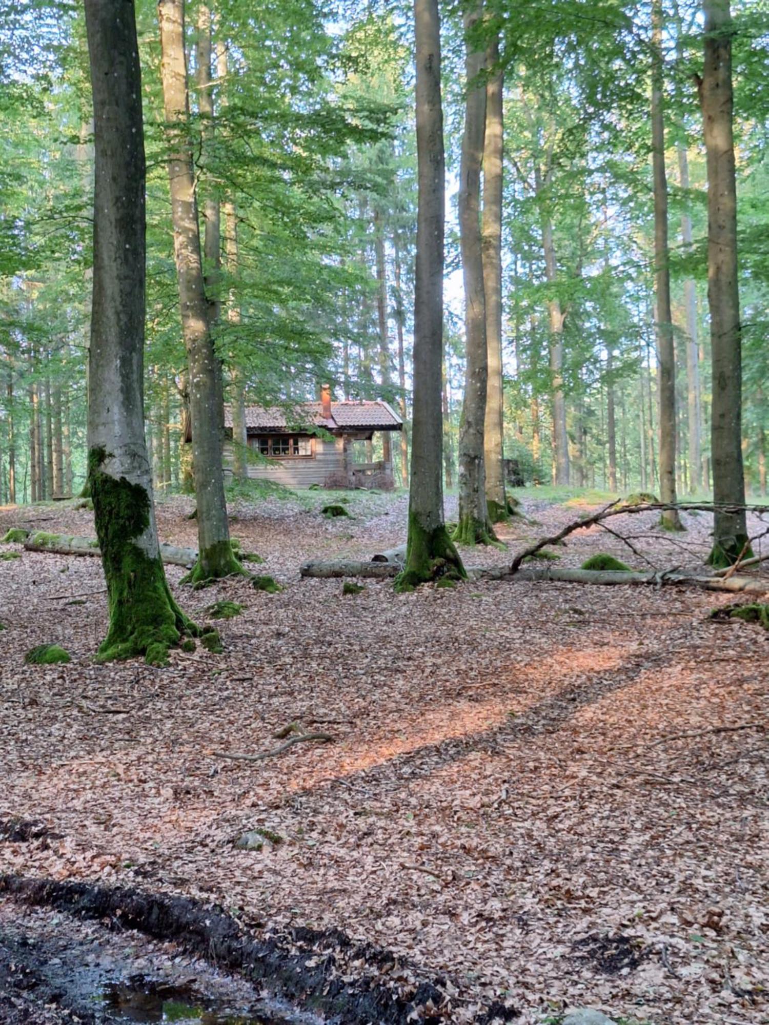 Bjaernhultsgardens Stugor Linderod Bagian luar foto